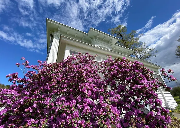 Bloom Farm Guesthouse