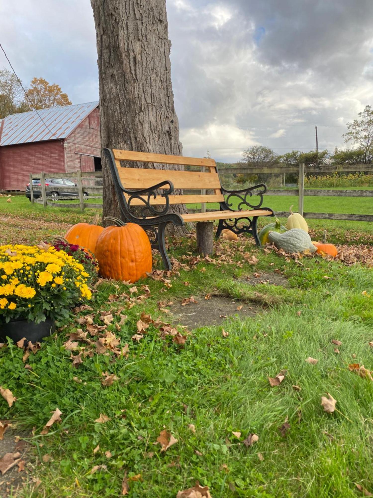 Bloom Farm * Mount Vision